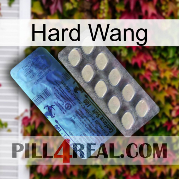 Hard Wang 34.jpg